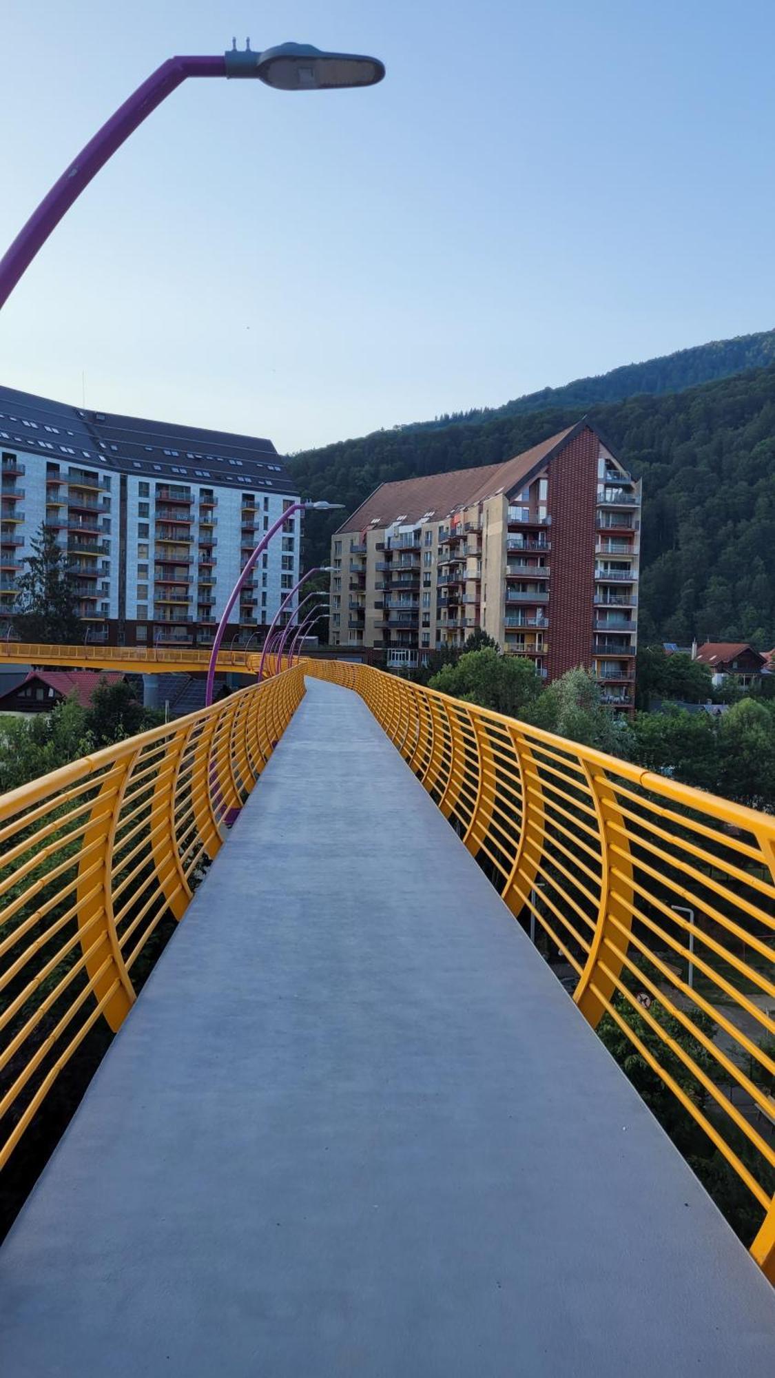 Belleview Family Apartment Sinaia Zewnętrze zdjęcie